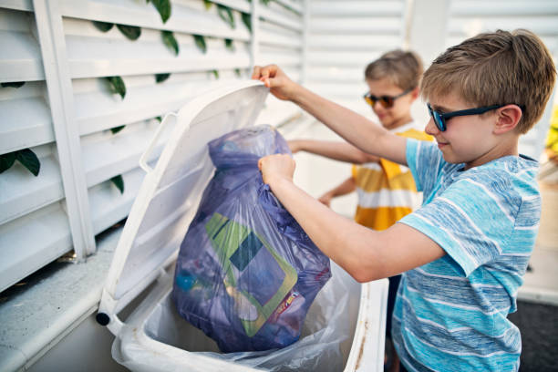 Best Dumpster Rental Services  in Springfield, MN