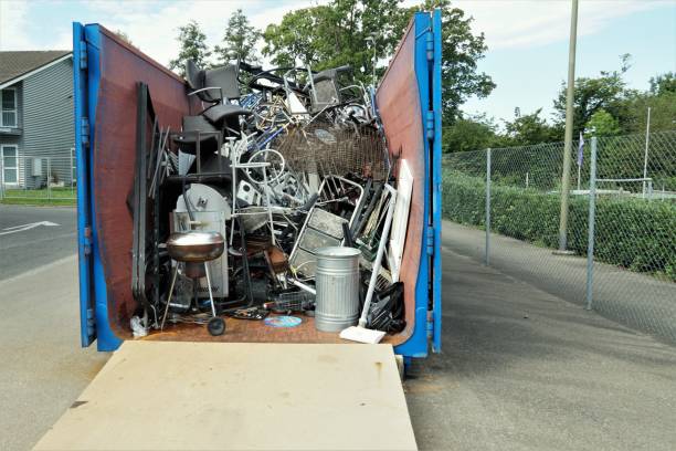 Best Yard Waste Removal  in Springfield, MN