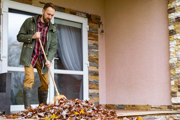 Best Appliance Removal Near Me  in Springfield, MN